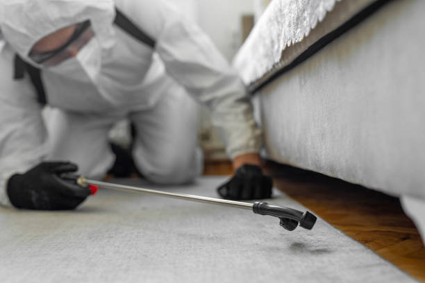 Professional Pest Control technician working in Mathews, VA