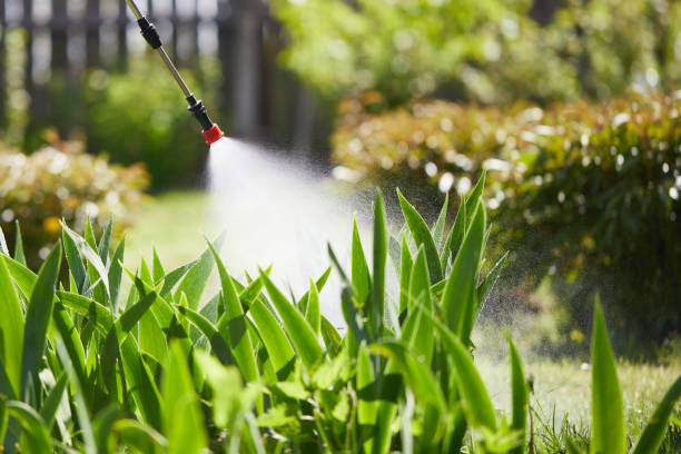 24/7 Emergency Pest Control experts in Mathews, VA
