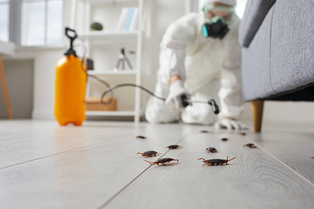 Affordable Pest Control solutions in Mathews, VA